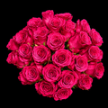 Cerise Luxe- Rose Bouquet