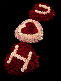Three heart shaped floral arrangements with red and pink roses  spelling "I ❤️ U" on a black background.
