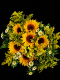Bouquet of sunflowers, solidaster, yellow alstromeria and greenery on a black background
