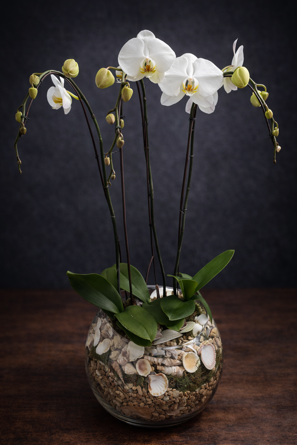 Three white phalaenopsis orchids arranged together in a large clear glass rose bowl, lined with river stones, sea shells and moss.