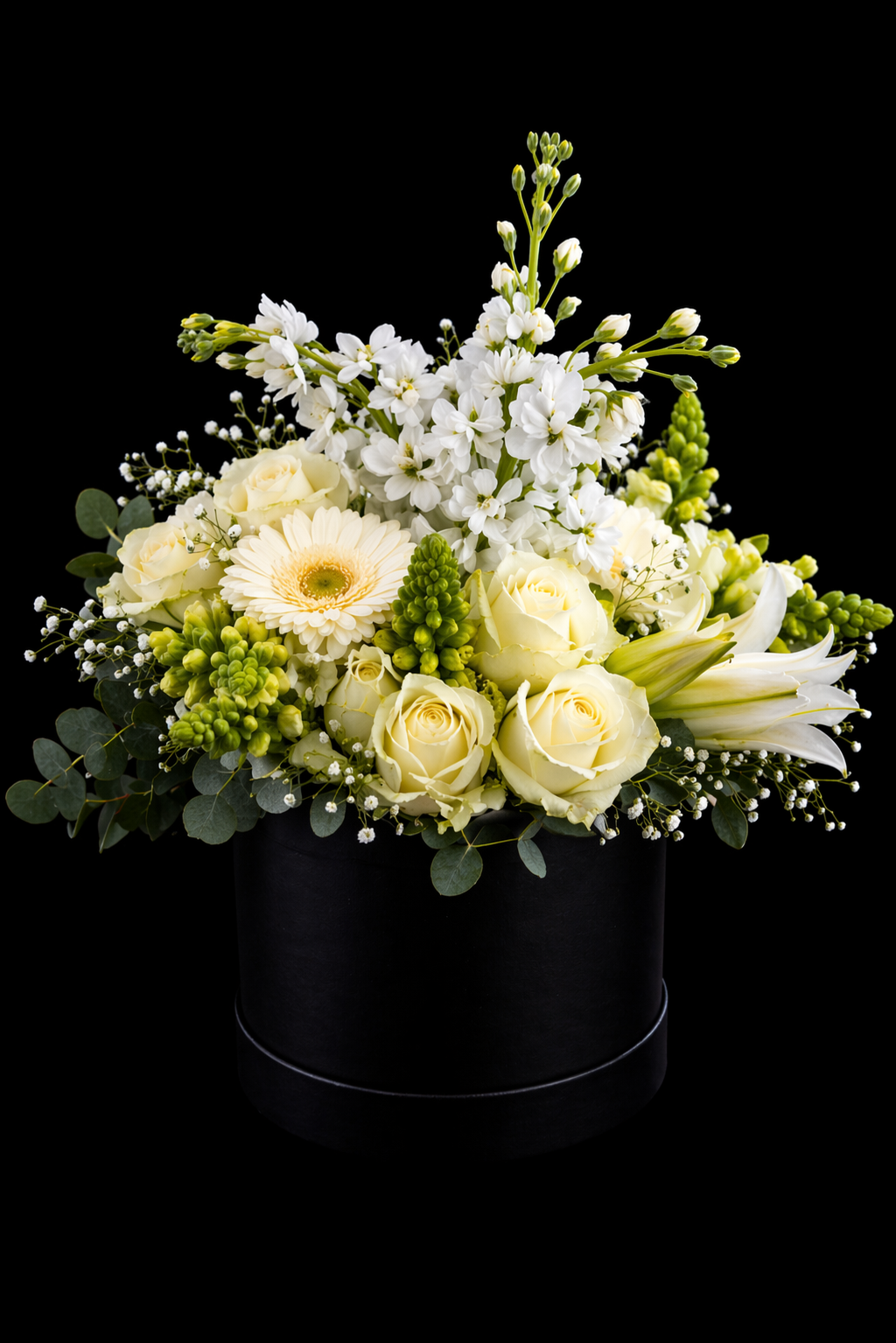 White posy style flower arrangement with white roses, white snapdragons, white lilies, gypsophilla, white gerbera daisy and pennygum in a medium size black hatbox against a black background.