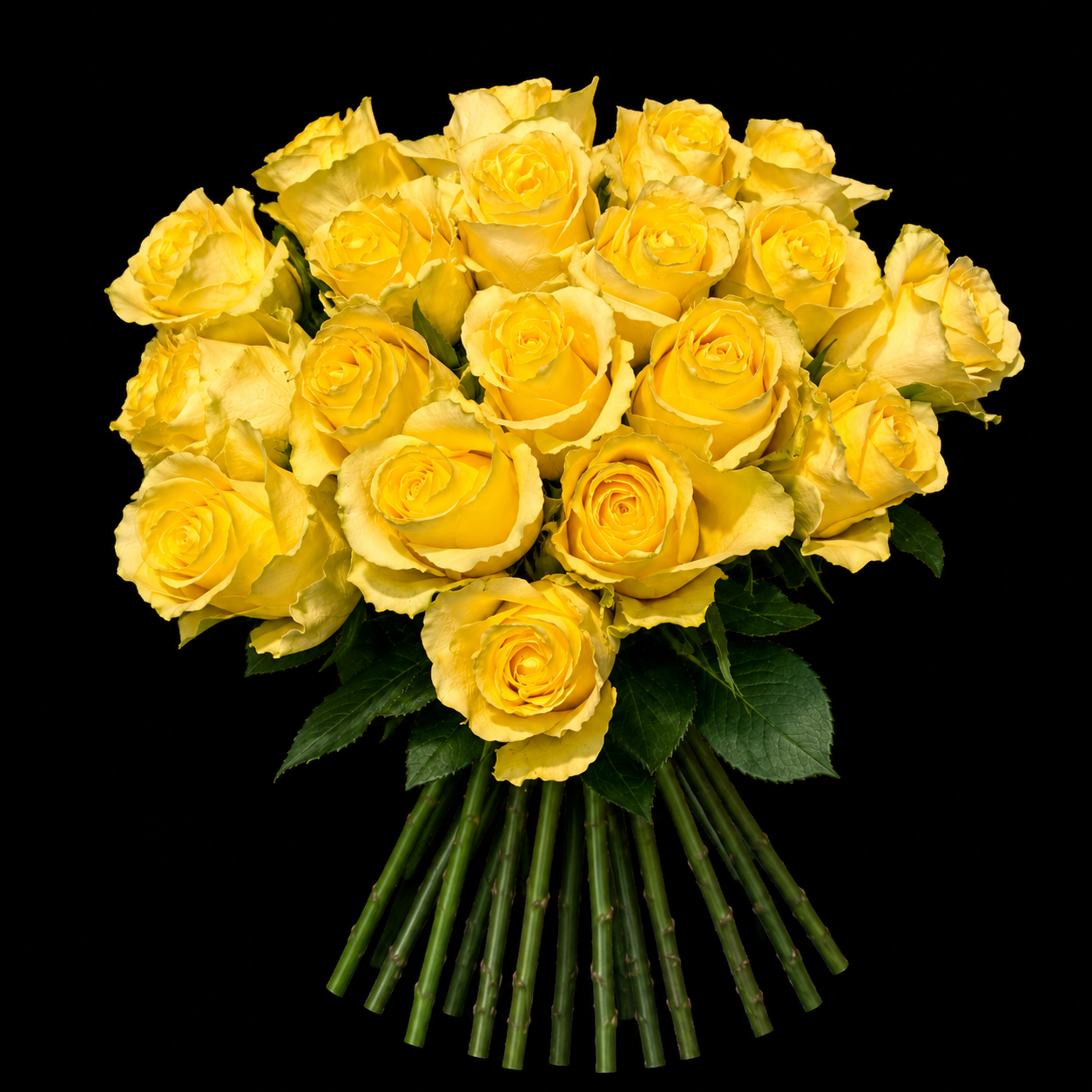 Golden Radiance Rose Bouquet